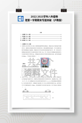 2022 2023学年八年级物理第一学期期末专题突破（沪教版）
