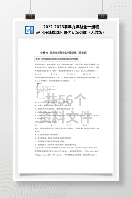 2022-2023学年九年级全一册物理《压轴挑战》培优专题训练（人教版）