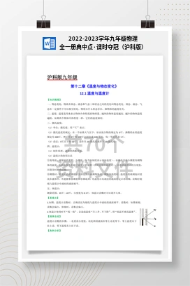 2022-2023学年九年级物理全一册典中点·课时夺冠（沪科版）
