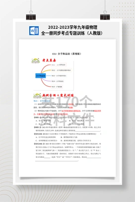 2022-2023学年九年级物理全一册同步考点专题训练（人教版）