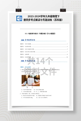 2023-2024学年九年级物理下册同步考点解读与专题训练（苏科版）