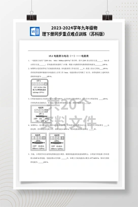 2023-2024学年九年级物理下册同步重点难点训练（苏科版）