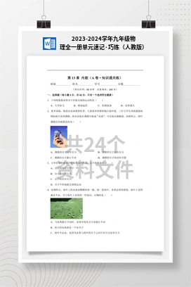 2023-2024学年九年级物理全一册单元速记·巧练（人教版）