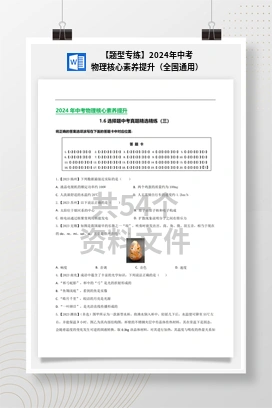 【题型专练】2024年中考物理核心素养提升（全国通用）