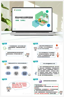 第3单元第3节《爬虫中的法律和道德》课件+教案 川教版初中信息技术九年级上册