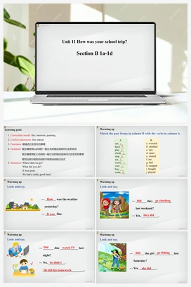 Unit 11 第3课时（Section B1a-1d）【课件】 人教版初中英语七年级下册