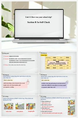 Unit 11 第5课时（Section B 3a-Self Check）【课件】 人教版初中英语七年级下册