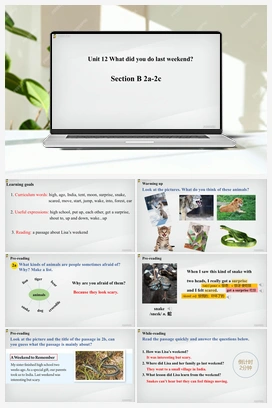 Unit 12 第4课时(Section B 2a-2c)【课件】 人教版初中英语七年级下册