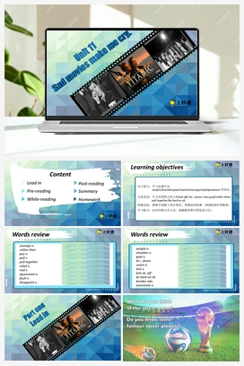 Unit 11 第5课时 (Section B 2a-2e)（课件+教案） 人教版初中英语九年级