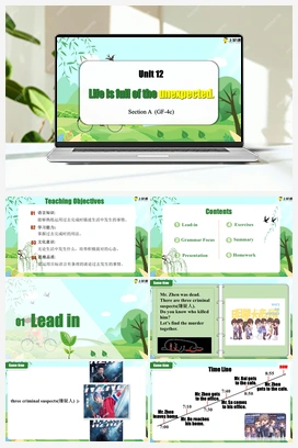 Unit 12 第三课时Section A (Grammar Focus-4c)（课件） 人教版初中英语九年级
