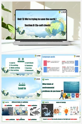 Unit 13 第6课时 (SectionB 3a-Self Check )（课件+教案） 人教版初中英语九年级