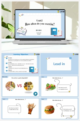 Unit 2 第4课时 Section B (2a-2e)(课件+教案+导学案+作业) 人教版初中英语八年级上册