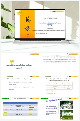 Unit 5 Topic 3 Section C（课件+视频） 仁爱版初中英语八年级下册