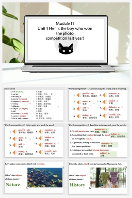 Module 11 Unit 1（课件） 外研版初中英语九年级上册