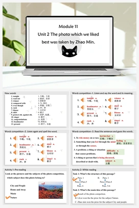 Module 11 Unit 2（课件） 外研版初中英语九年级上册