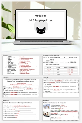 Module 11 Unit 3（课件） 外研版初中英语九年级上册