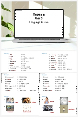 Module 6 Unit 3（课件） 外研版初中英语九年级上册