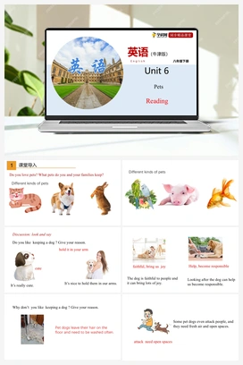 6.1 Reading【课件+练习】 牛津深圳版初中英语八年级下册