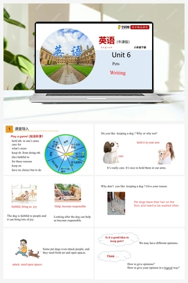 6.4 Writing【课件+练习】 牛津深圳版初中英语八年级下册