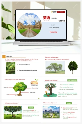 4.1 Reading 课件+练习（牛津深圳版）（广州沈阳通用） 牛津版初中英语七年级下册