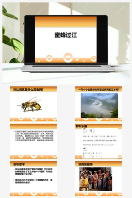 人教版音乐七年级下册第2单元 飞翔的翅膀 蜜蜂过江 课件教案