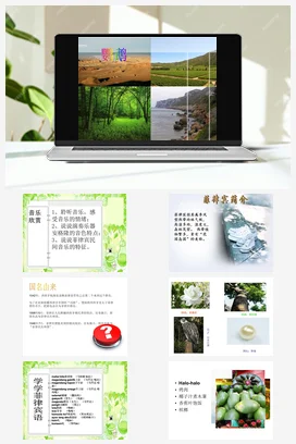人音版音乐八年级下册 第四单元 亚洲弦歌 欣赏 鹦鹉-资源套餐