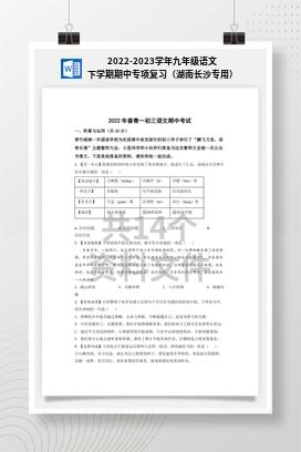 2022-2023学年九年级语文下学期期中专项复习（湖南长沙专用）