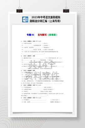 2023年中考语文最新模拟题精选分项汇编（上海专用）