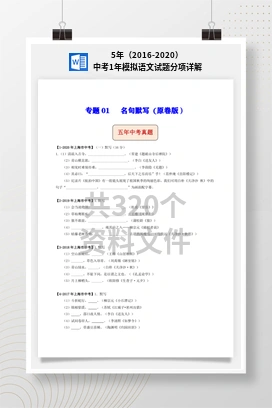 5年（2016-2020）中考1年模拟语文试题分项详解