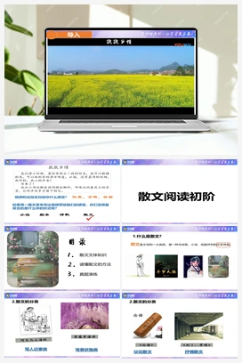 初中语文现代文阅读专项讲练