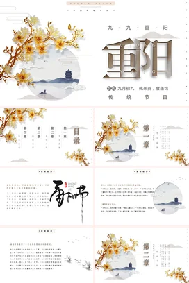 白色新国风古风简约中小学九九重阳节传统文化菊花传统节日PPT课件