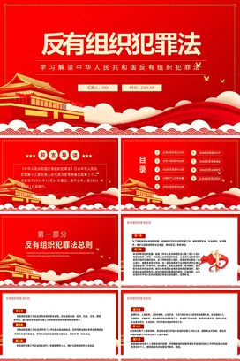 红色大气党政风新国风政府反有组织犯罪法学习解读法律党课PPT课件