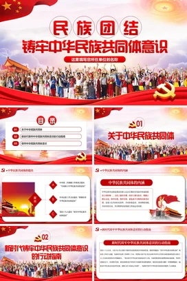 红色大气党政风简约党支部民族团结与共同体意识多元文化党课PPT课件