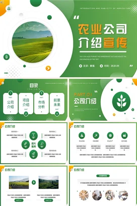 绿色农业公司简介乡村项目介绍PPT模板会议报告商业计划宣传推广