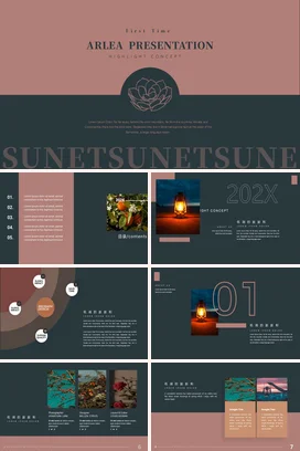 棕色极简高端现代PPT模板