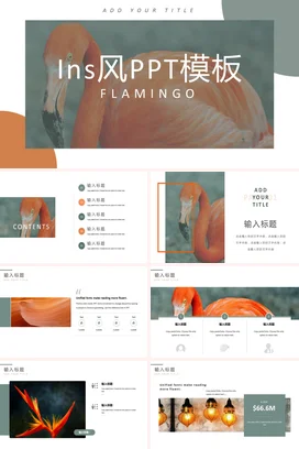 橙色极简时尚简约个人Ins风Flamingo设计PPT模板