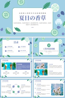 浅蓝小清新创意卡通个人夏日香草年中总结精美PPT模板