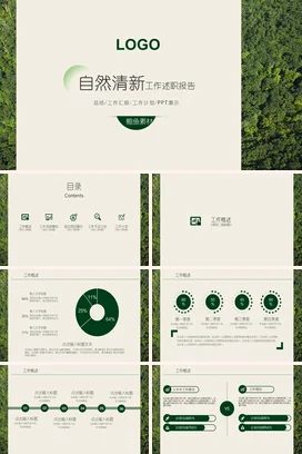 浅绿极简小清新简约个人自然清新工作述职报告精美PPT模板