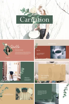 白色极简小清新文艺个人康乃馨的美丽与象征花卉教学课件PPT模板课件