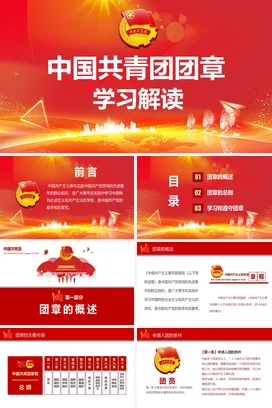 红色大气党政炫酷团支部中国共青团团章学习解读团课PPT模板课件