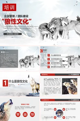 企业管理团队建设狼性文化培训企业内培PPT课件模板
