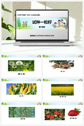 人教部编版 道法二年级下 试种一粒籽 (1)
