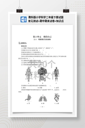 教科版小学科学二年级下册试题单元测试+期中期末试卷+知识点