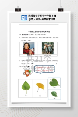 单元测试+期中期末试卷 教科版小学科学一年级上册