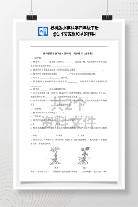1.4探究根和茎的作用 教科版小学科学四年级下册