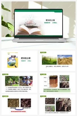 苏教版小学科学三年级上册 第06课 肥沃的土壤 （课件+教案+练习+素材）