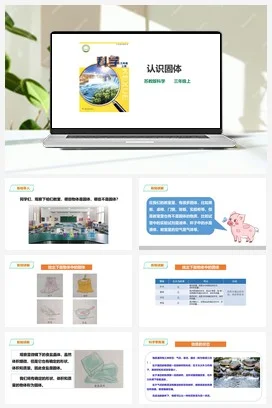 苏教版小学科学三年级上册 第08课 认识固体 课件+教案+练习