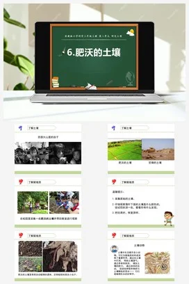 苏教版科学三上 6.肥沃的土壤 课件（共14张PPT）+教案（平铺式+网格式）