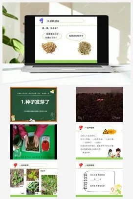 苏教版小学科学三下课件教案 1.种子发芽了 （江苏 张杰）（第一课时）