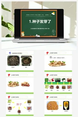 苏教版小学科学三下课件教案 1.种子发芽了（江苏 任雯））
